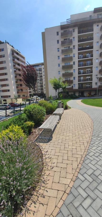 Apartment Alios Lux Brasov Ngoại thất bức ảnh