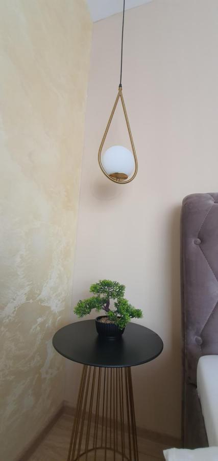 Apartment Alios Lux Brasov Ngoại thất bức ảnh